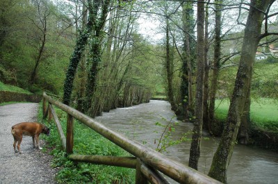 El Paseo del Vino