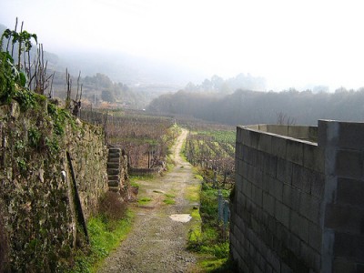 La huerta y la aldea