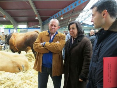 La consejera en Cangas