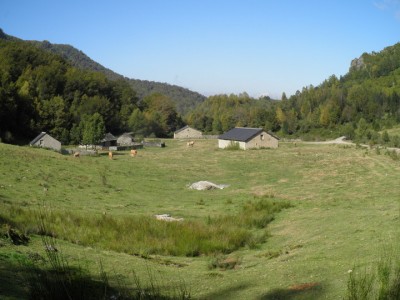 MERA.- Fuentes del Narcea