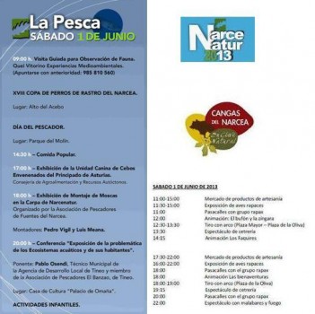 Programa para hoy