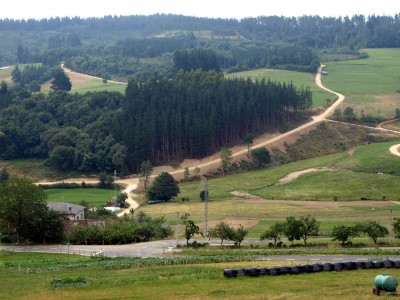 Nuevos caminos en Bárzana