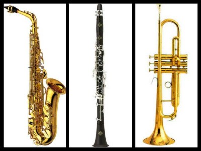 1343253422_419321289_3-INTRUMENTOS-Y-ACCESORIOS-PARA-SAXO-CLARINETE-Y-TROMPETAS-Instrumentos-Musicales