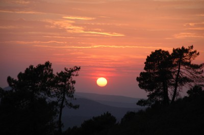 MERA.-Atardecer en la dehesa