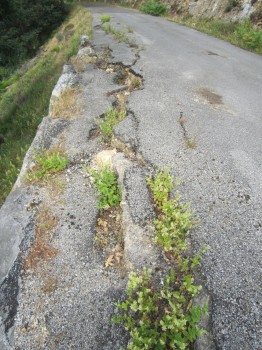 Estado carretera