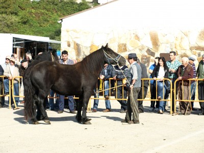 Feria 2012