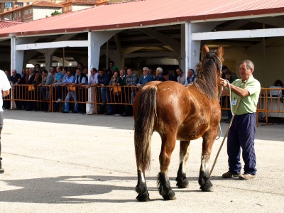 Un momento del concurso