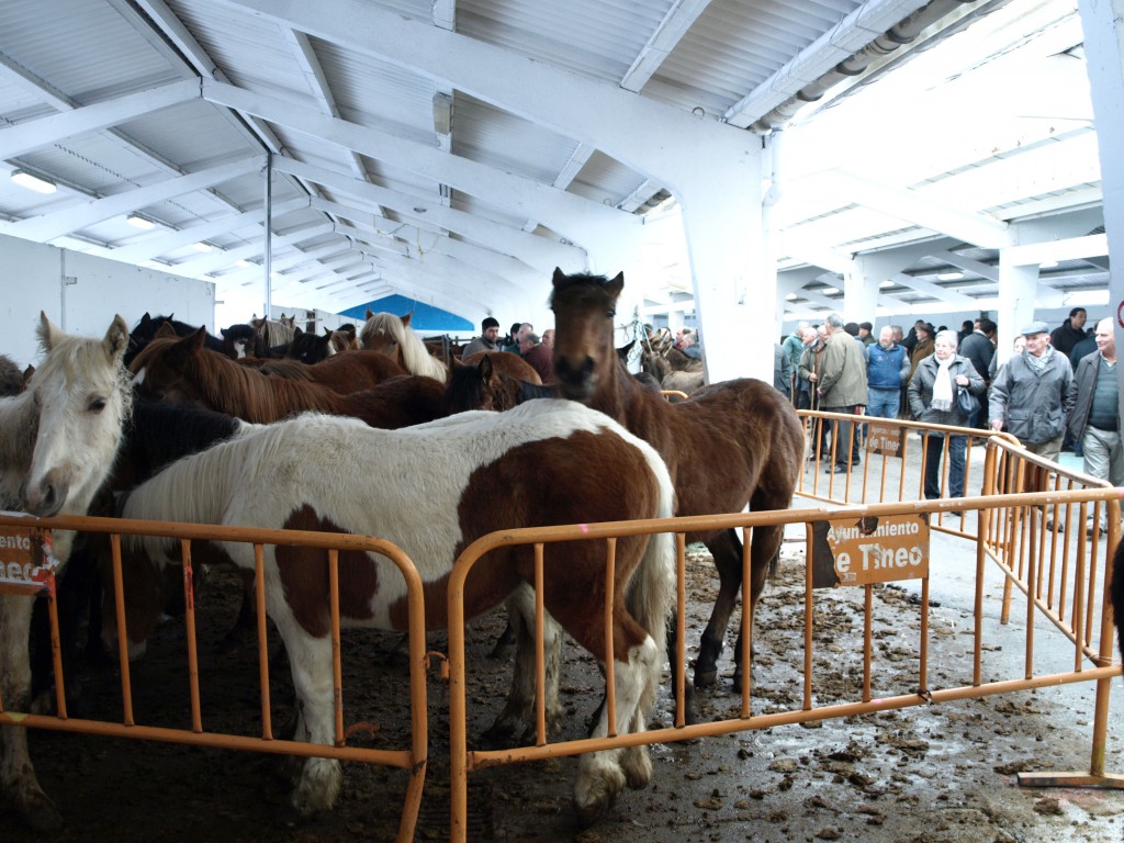 Feria de San Jose 2014