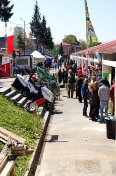 Aspecto de la Feria de Muestras de 2013 jpg