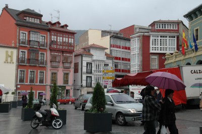 Tineo