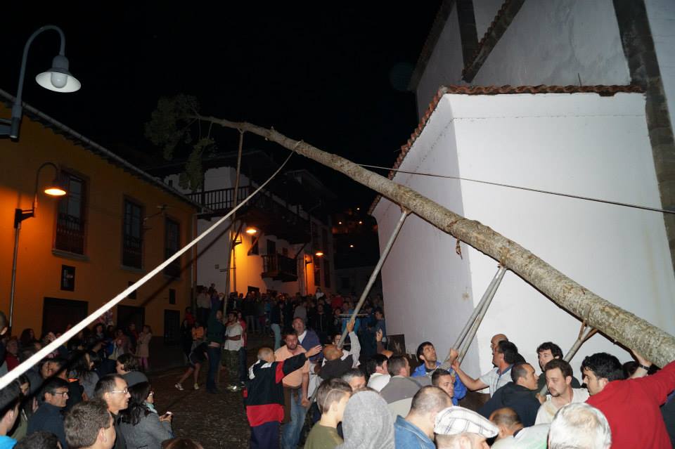 CANGAS DEL NARCEA.- Un gran árbol para una noche de  nostalgias y madrugadas de folixas