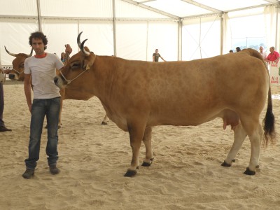 Serena, vaca campeona