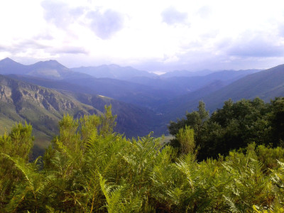 MARIBEL. Vista Parque desde Penaventana