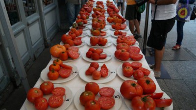 tomates jpg