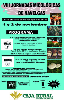 Cartel VIII Jornadas Micológicas de Navelgas jpg copia