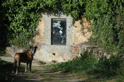 La fuente de las Carretas