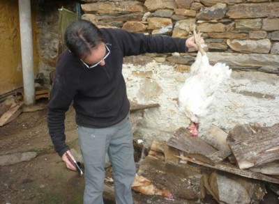 Demelsa.- David con una de las gallinas