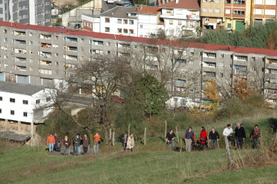 vista cangas