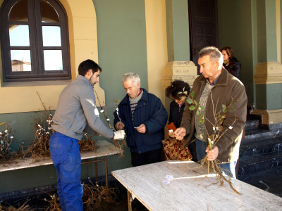 Eentrega del pasado año