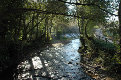 Paseo del Vino