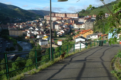 Vista Cangas