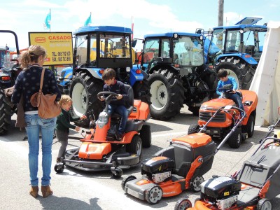 Feria el pasado año