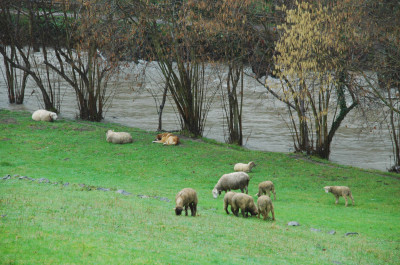 Foto el invierno jpg.