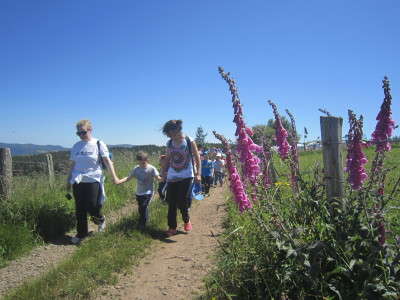 camino2