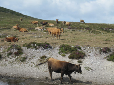 Sierra del Palo