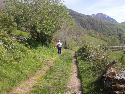 Camino de Brañas