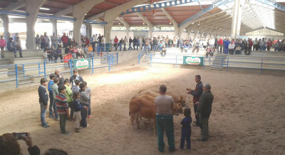 Alumnos clasificando