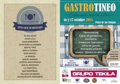 gastro tineo