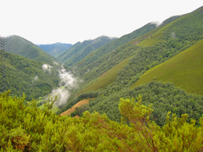 CORIAS-MUNIELLOS-1