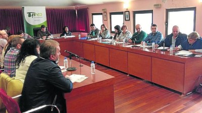 Pleno Tineo