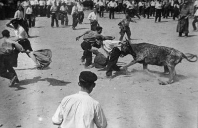 Toros en la Plaza jpg