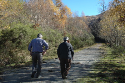 Camino a Fuentes