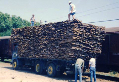 el camión de la corcha jpg.