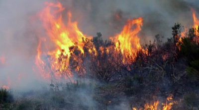 incendios_cangas_del_narcea