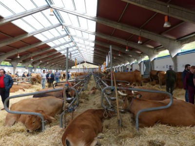 Mera.- Feria en Cangas