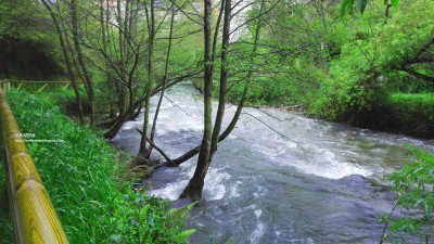 Río Luiña a su paso por el Paseo del Vino (Cangas del Narcea)