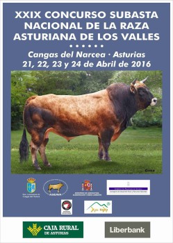 concurso