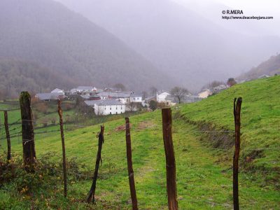 terrenos en Cangas del Narcea