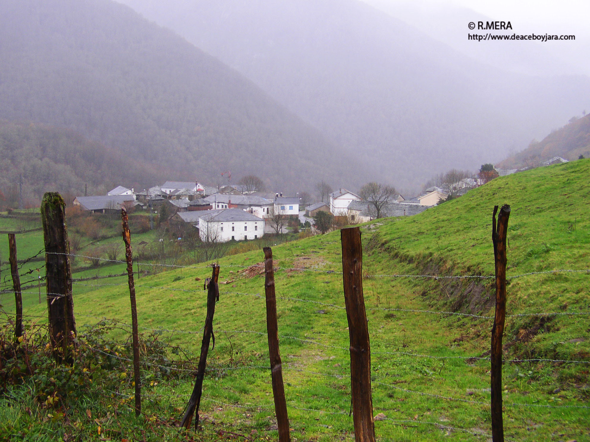 CANGAS DEL NARCEA.- La Fundación Oso afirma que sus terrenos en el concejo son compartidos con los ganaderos de la zona