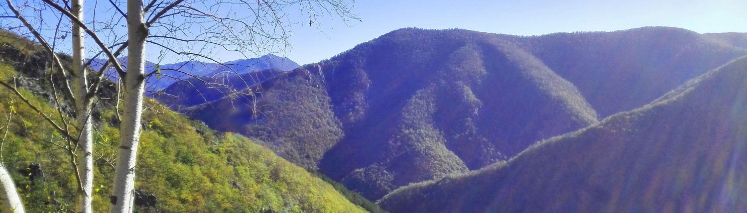 CANGAS DEL NARCEA.- Muniellos, uno de los bosques más increíbles de España