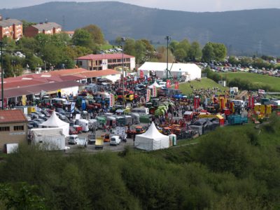 feria muestras