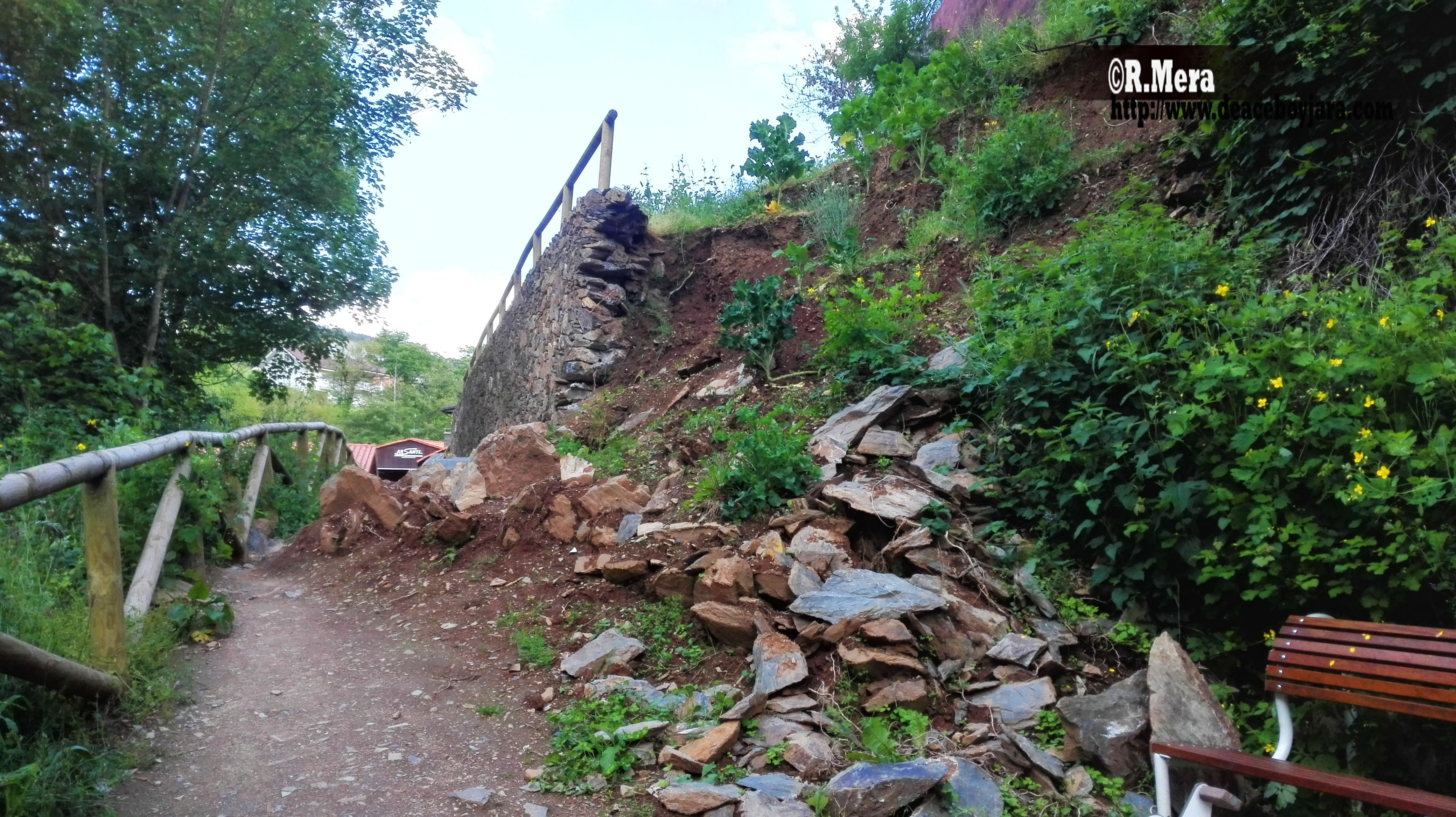 CANGAS DEL NARCEA.-Paseo del Vino: de las loas al olvido o la culpa es de la lluvia