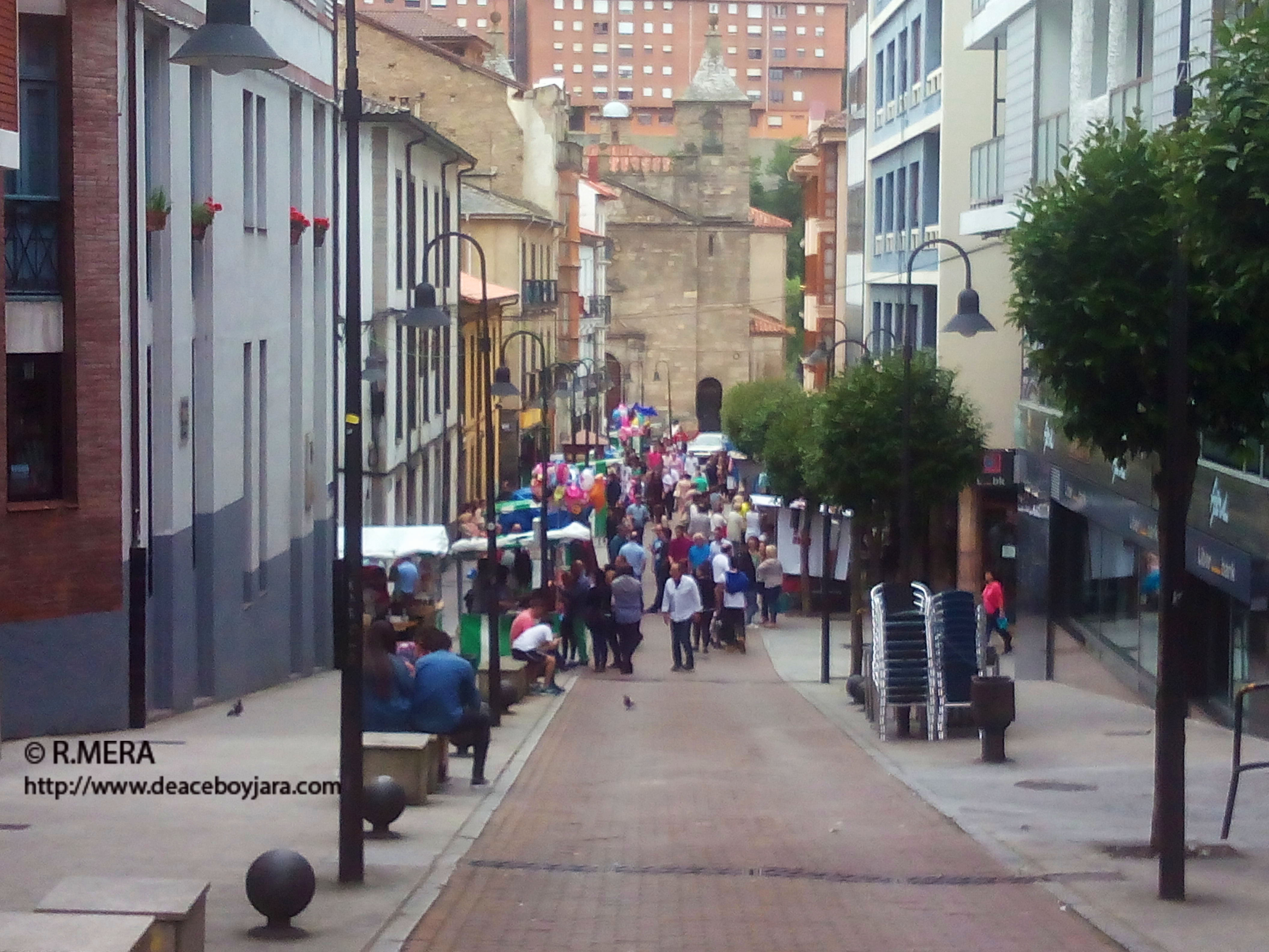 CANGAS DEL NARCEA.- El  fracaso de Narcenatur