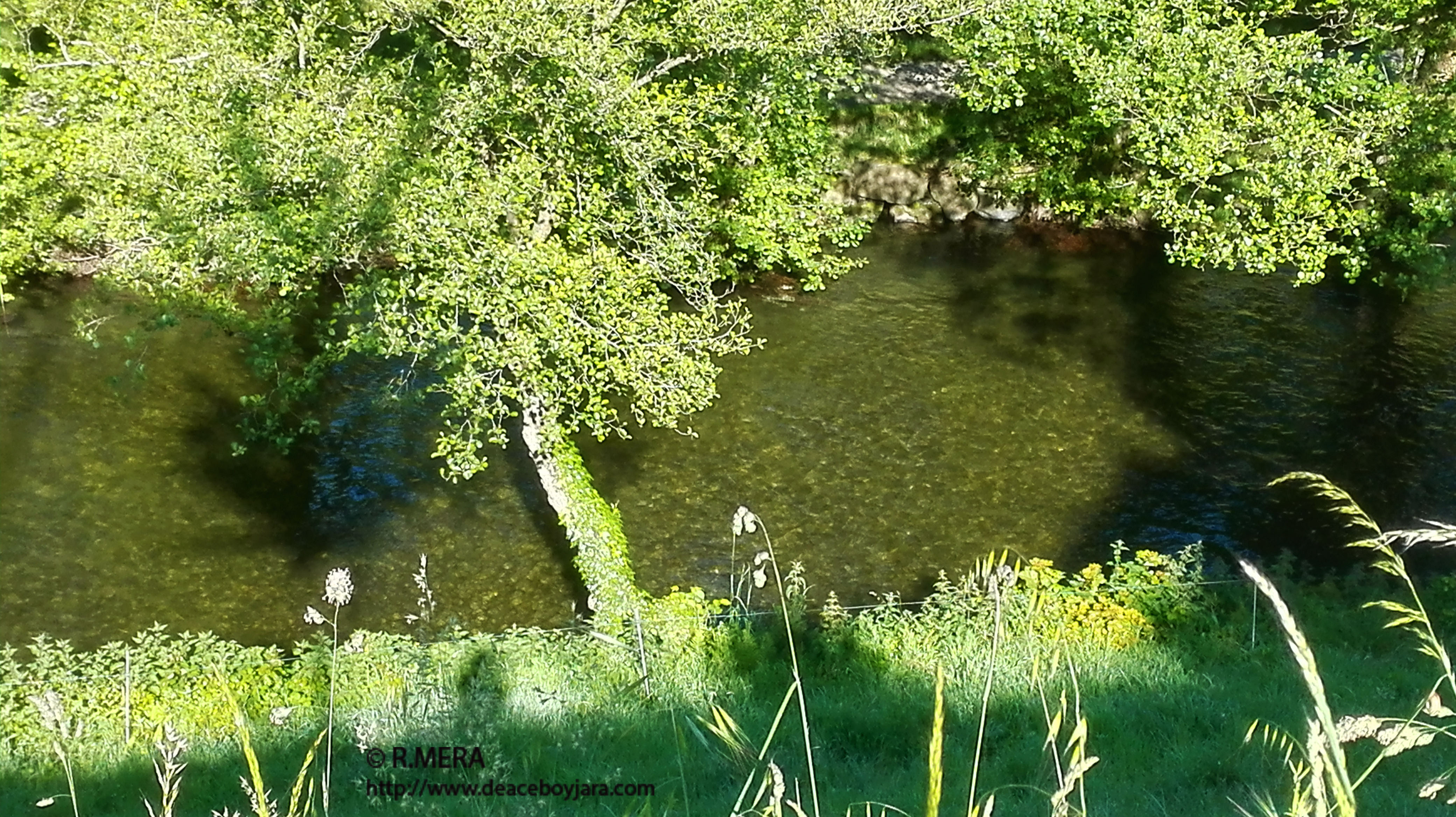 CANGAS DEL NARCEA.-La foto y su pie: El incipiente verano