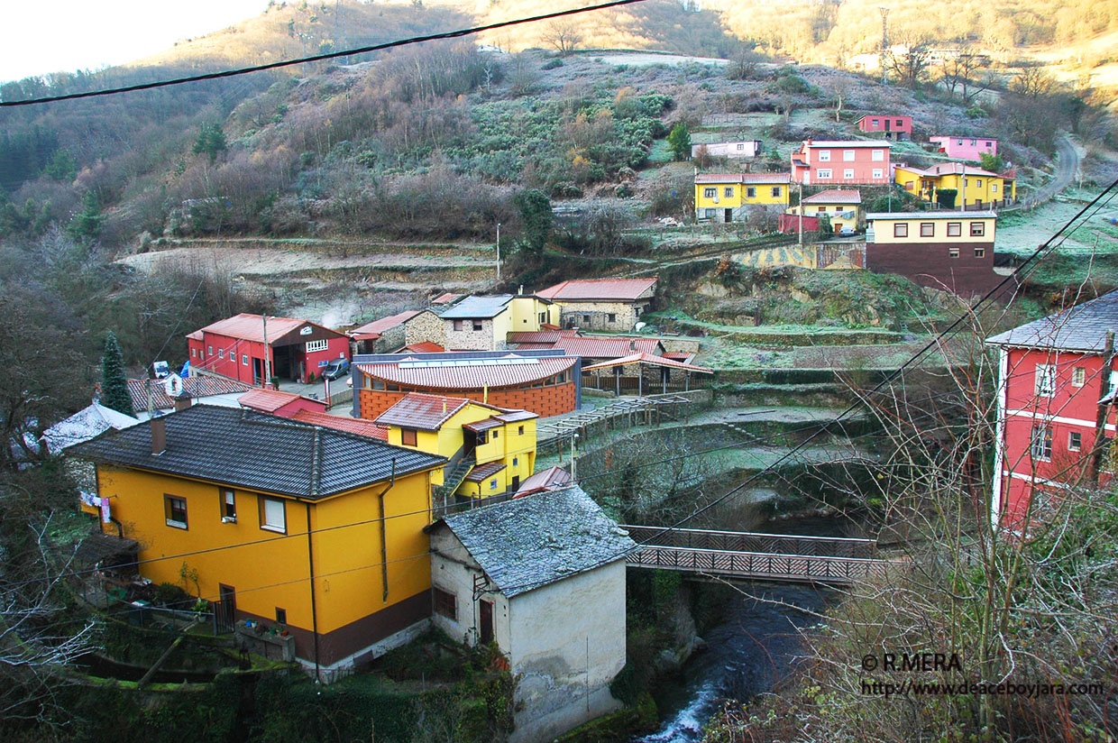 CANGAS DEL NARCEA.- Candidatura a Pueblo Ejemplar del Grupo Humano que trabaja en la recuperación del Vino de Cangas