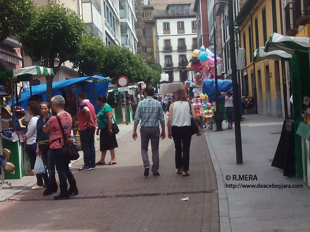 CANGAS DEL NARCEA.- Duro varapalo del PP a la organización de Narcenatur